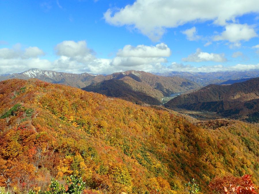 この紅葉をみよ